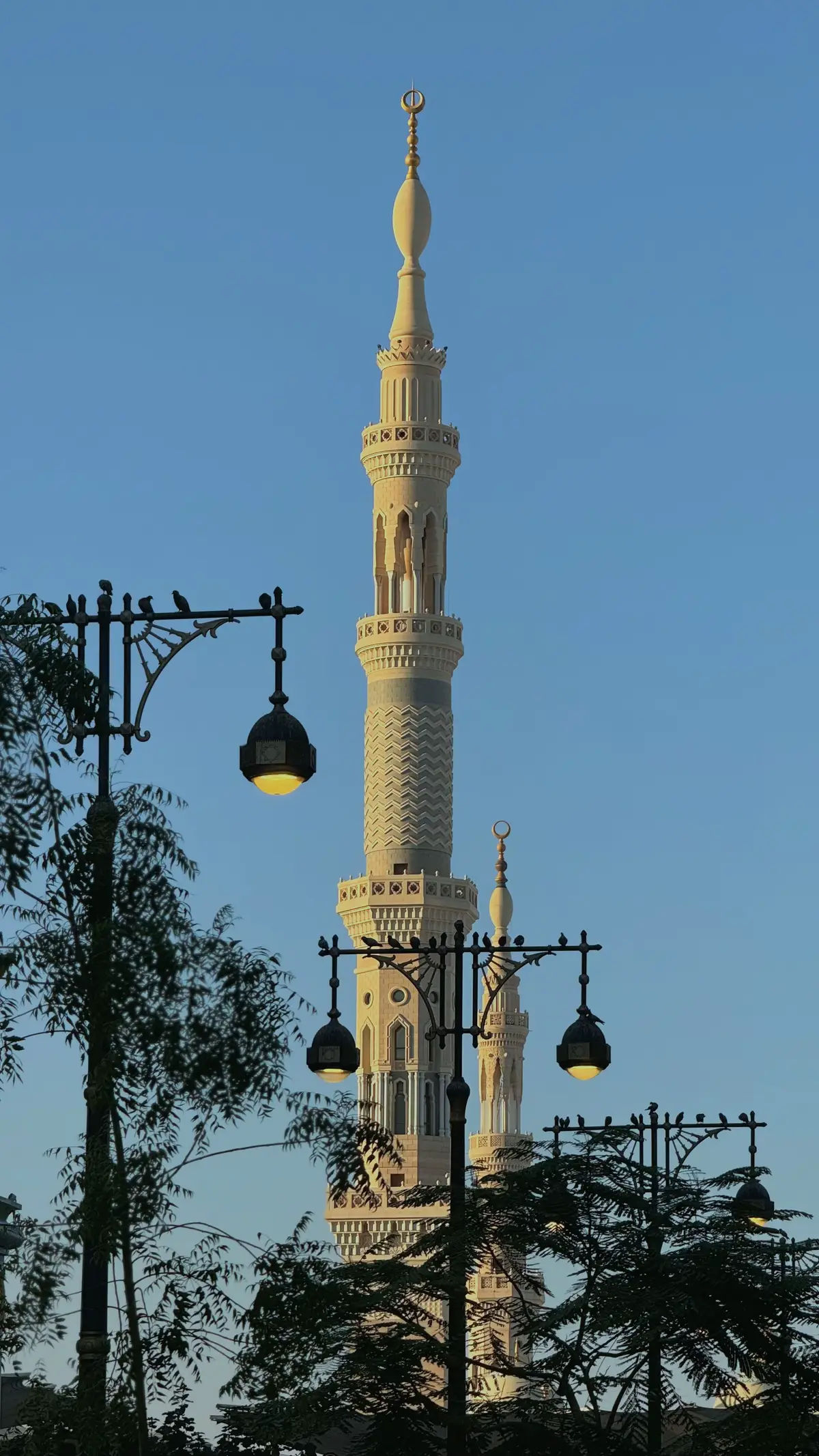 والمدينةُ خيرٌ لهم لو كانوا يعلمون 🍃..#المدينة #تصويري #الحرم #الروضة_الشريفة #اكسبلور #السعودية 