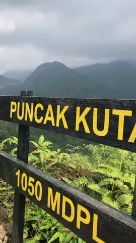 back to nature#puncakkuta1050mdpl #puncakkuta 