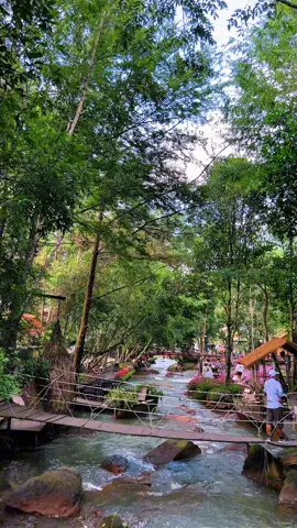 Các bạn lên Dalat đã check in con suối này chưa sao mà nó đẹp quá vậy 😍 📍 Vườn Địa Đàng  #dalat #loinhodalat #vuondiadang 