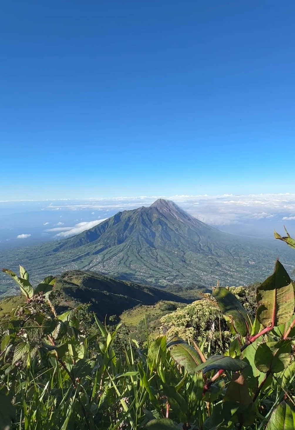 ketika ke merbabu view merapi sesuai ekspektasi 🥹 #merbabu #merapi #pendakifomo #fypp 