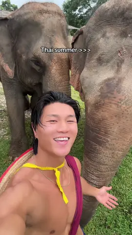 Day 1 in Thailand 🐘 #jparkfit #elephant 