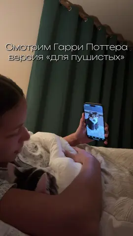 Скажите, что я не одна такая, кто показывает видосики котику? #гаррипоттер #мем #котики