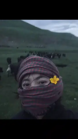 “黎明照耀雪峰，黄昏染红草原，新疆是热爱自由人们的梦想。”