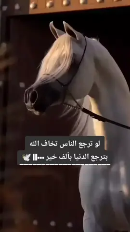 #عالم_منتهى_الصلاحيه 