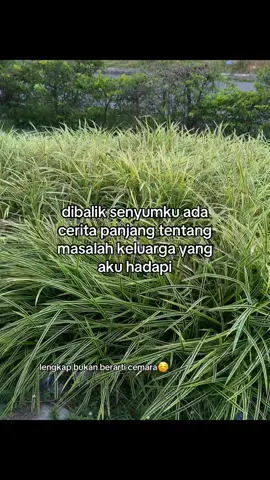 #galaubrutal 
