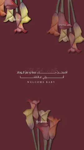 اهلًا بيبي سدن❣️ #تهنئة_مولودة #بشارة_للعمات #بشارة_مولودة_اخوي #صرت_عمه #بنت_اخوي #مولودة_اخوي #سدن 