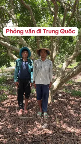 Phỏng vấn đi Trung Quốc