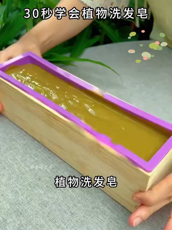 植物洗发皂_植物科普 _识百草 _一日一植物 _侧柏叶 _大自然的馈赠 #中药材 #植物科普 #你的家乡有这种植物吗 #tiktok #foryou #中药科普 #上推薦 #草本植物 #藥材 #草藥 #中藥材 #识百草 #野菜 #花卉