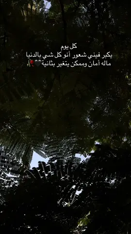 #explore #عبارات #عباراتكم_الفخمه📿📌 #عبارات_حزينه💔 #الشعب_الصيني_ماله_حل😂😂 