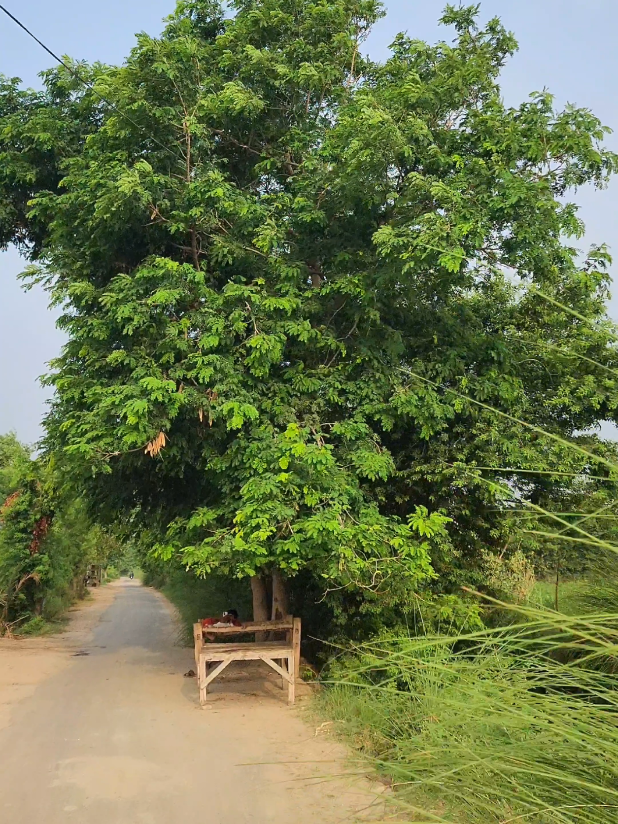 Village Way #foryou #tiktok #viralvideo #trending #village 