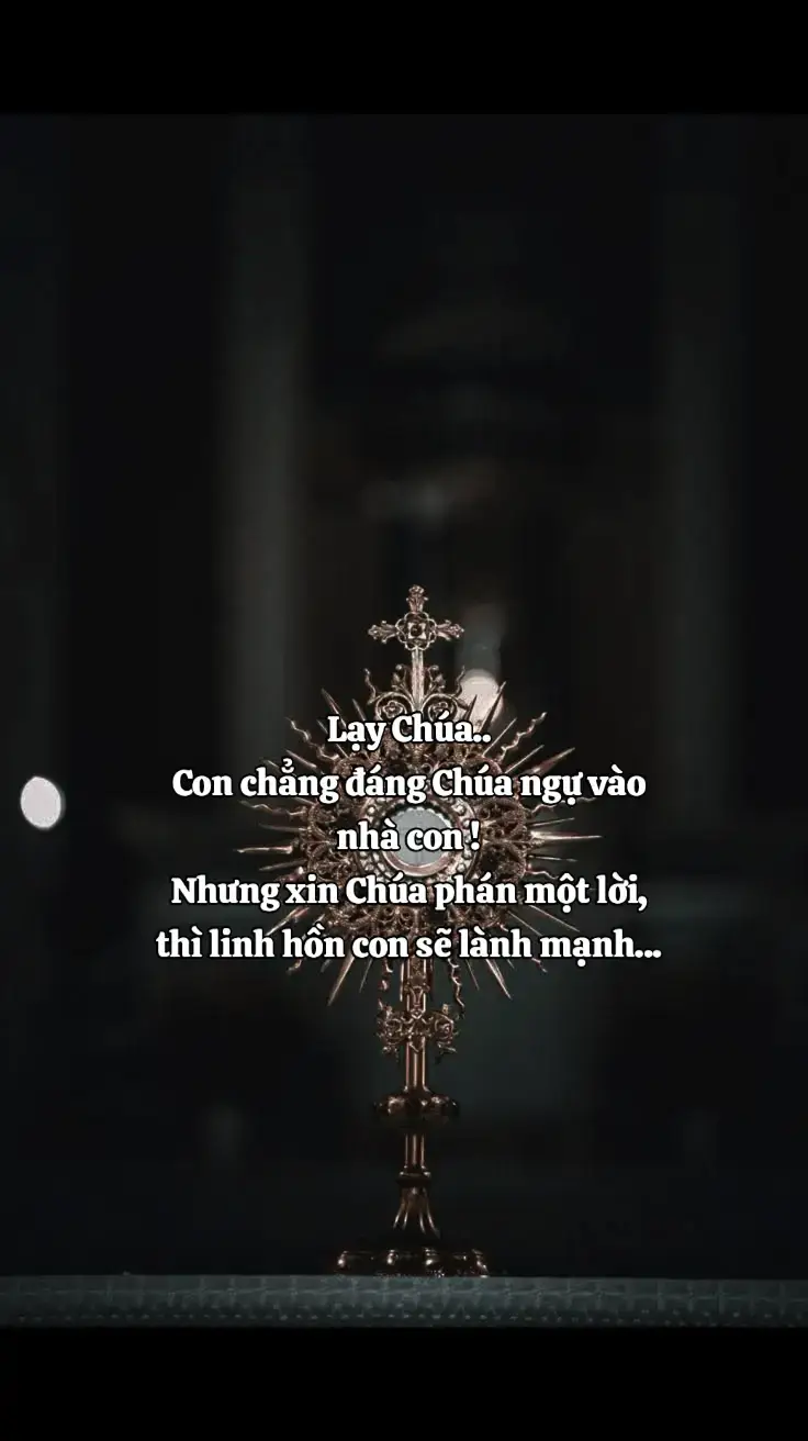 #conggiaovietnam #xuhuongtiktok   #tu_hao_la_nguoi_cong_giao  #viral #lmphuongdinhtoai  #fyp #cầunguyện 