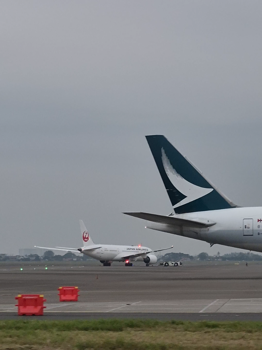 HND ft HKG🤙 #boeing777 #boeing787 #cgkairport #soettaairport #aviation 