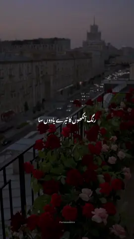 Ehd e wafa ❤️#lyrics_songs #song #viral #song #bestfaceforward #likе 