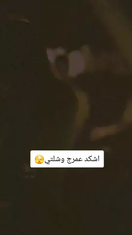 #تصميم_فيديوهات🎶🎤🎬 #الشعب_الصيني_ماله_حل😂😂 #شعب_الصيني_ماله_حل😂😂 