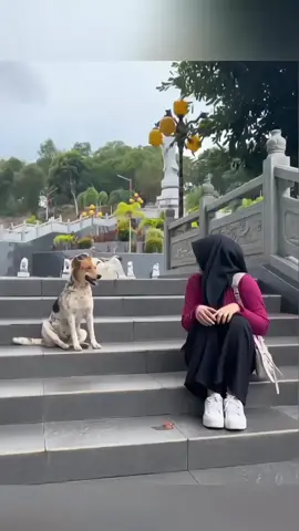 dog's sincere feelings 😘❤️ #funny #funnyvideos #animals #pet #cat #dog #cute #foryou #typ