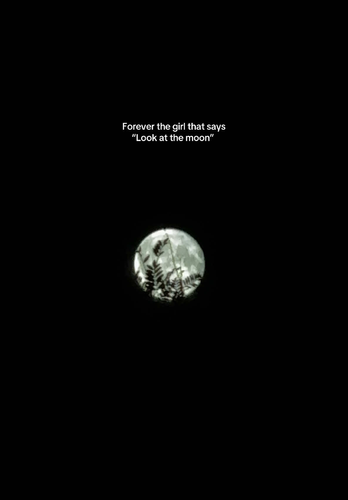 forever obsessed with the moon 😍  #fyp #foryoupage #aesthetic #fullmoon #moon #nature #contentcreator #trending #girlythings 
