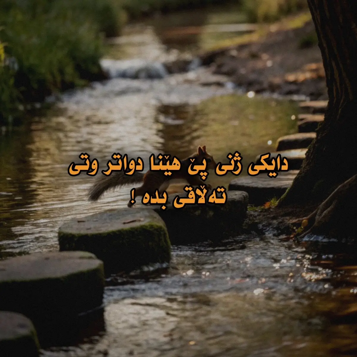 #سونەت #سەلەف 