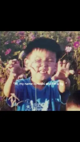 Seungkwan said: not today, tiger. 🐯  #Hoshi #Seungkwan #BooHoshi   #SEVENTEEN #SVT #KpopFunny   #Horanghae #SVTChaos #CaratHumor #KpopTrend #fyp 