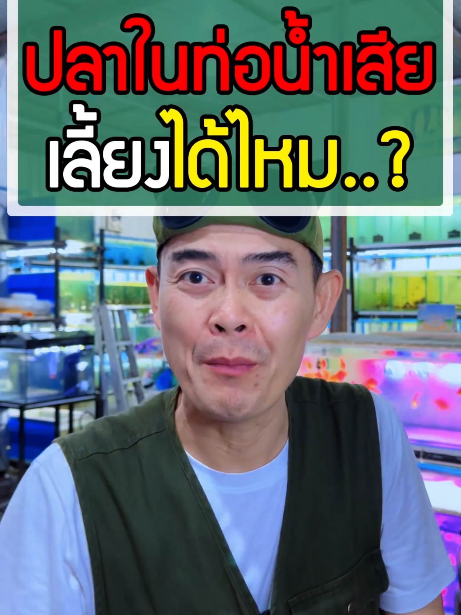 ปลาในท่อน้ำเสีย เลี้ยงได้ไหม ? . . . . . . . #ร้านวสันต์ #วสันต์ปลาสวยงาม #ร้านวสันต์อุปกรณ์ปลาสวยงาม #วสันต์อุปกรณ์ปลาสวยงาม #ร้านวสันต์อุปกรณ์ตู้ปลา #วสันต์อุปกรณ์ตู้ปลา #ตลาดปลาฟิชวิลเลจ #ตลาดปลาฟิชวิลเลจบ้านโป่งราชบุรี #ตลาดปลาสวยงามฟิชวิลเลจ #ตลาดปลาสวยงามฟิชวิลเลจบ้านโป่งราชบุรี #ตลาดปลาสวยงาม #ตลาดกลางปลาสวยงามและสัตว์เลี้ยงฟิชวิลเลจ #ฟิชวิลเลจตลาดปลาบ้านโป่ง