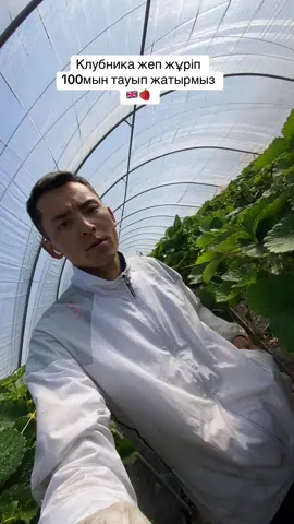 #казахиванглии 🇰🇿