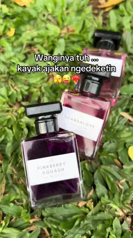 Harga nya lagii diskon 🤩 #eaudeparfum #farfumwangitahanlama #checkoutnow🛒🛒✅ 