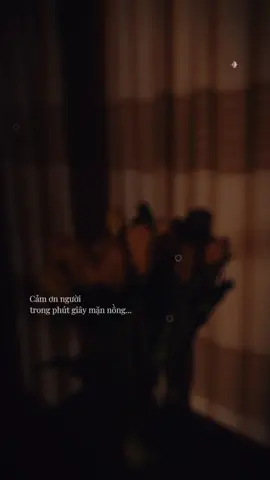 #CapCut 