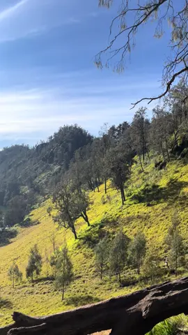 Ranu kumbolo, 11 Juli 2025.🥹🫶🏼 #ranukumbolo #surgagunungsemeru #2400mdpl #Hiking #malang 