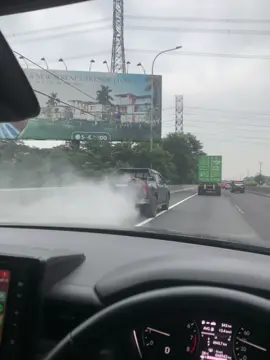 bukan sembarang cumi