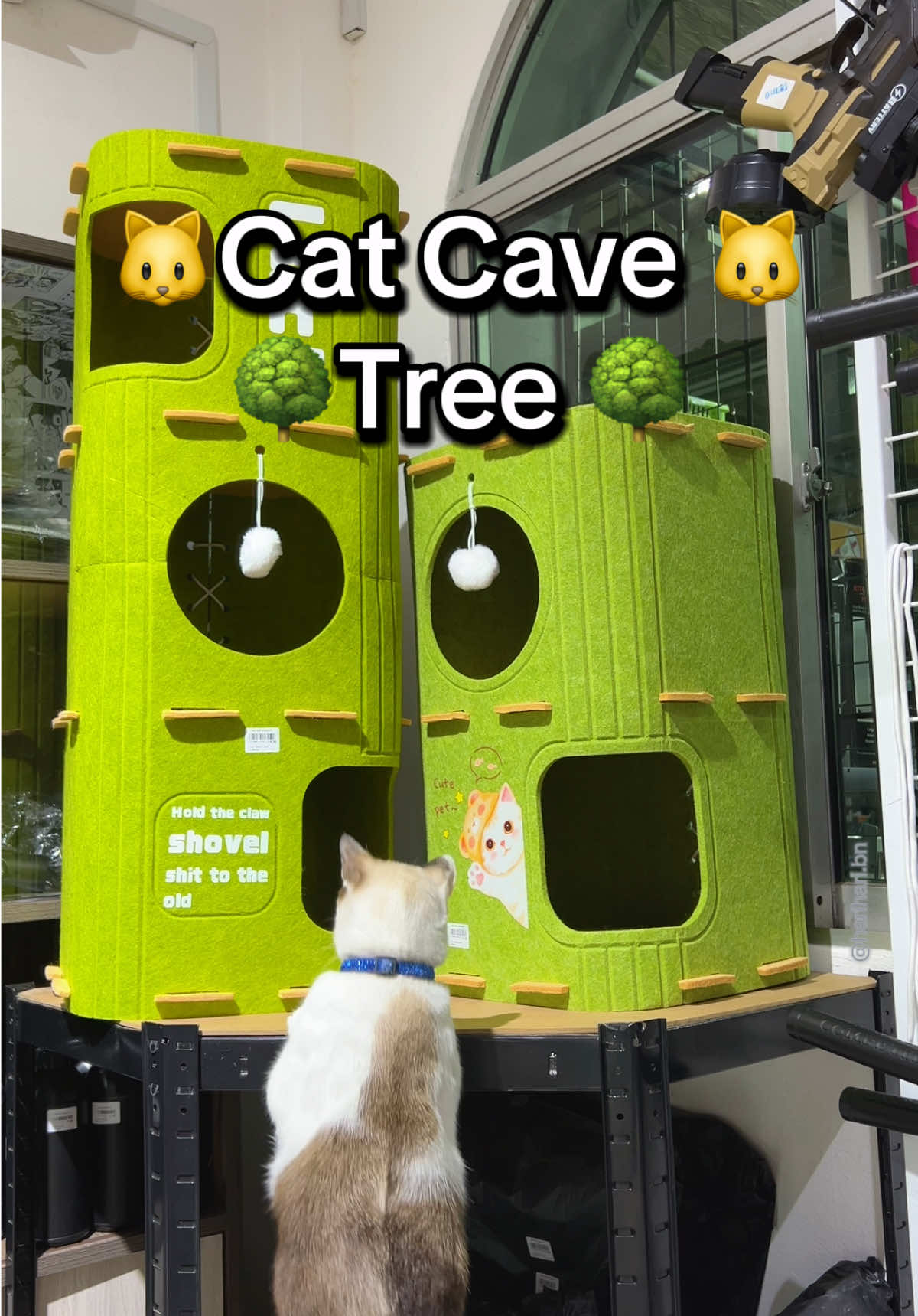 POV: Your cat just found their new favorite hideout 😻 These cozy cat caves are selling out FAST — and your cat will never forgive you if you miss it. 🐾 Si bulus nak privacy juga, bah! 😸💤 🇧🇳 Available INSTOCK at 📍 Hari Hari Enterprise Simpang 889, Kampong Jangsak, Mukim Kilanas #cattok #catsoftiktok #cattree #catcave #cattoys #PetsOfTikTok #pettok #hariharienterprise #bruneiviral #brunei🇧🇳 #bruneifinds #bruneifyp #bruneifinds #bruneitiktok 