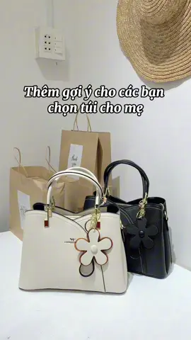 Thêm một gợi ý cho mẹ diện xui gia đây ạ #goctiemcuachie #tuixach #hachie 