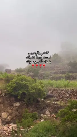 #يافع #اكسبلور #fyp 