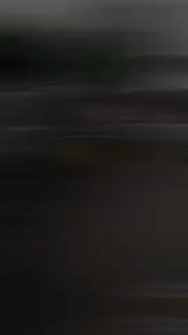 #CapCut 