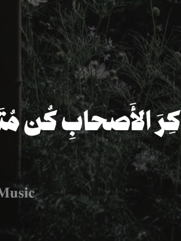 بدون موسيقى 🤎 #ياذاكر_الاصحاب_كن_متأدبا #fyp  #اناشيد #بدون_موسيقي #no_music 