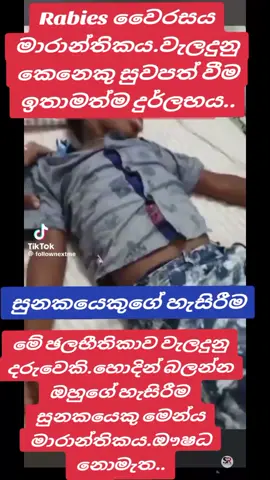 #for #fyppppppppppppppppppppppp #foryourpage #foryoupageofficiall #fypage #creatorsearchinsights #viralvedeo #hospitaltiktoks #100kviews #100klike #trendingtiktok #rabies #rabiesvirus #sad#creatorsearchinsights #viralvideo #virall 