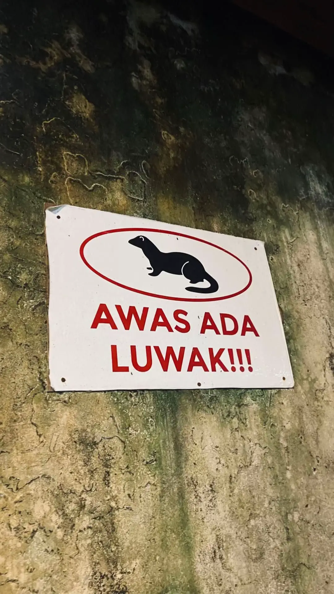 Nikmati jalani rayakans setiap pertemuan karna pertemuan adalah ndem2 an🍻 #4sehat5kaosband #alcohol #karanganyar24jam 
