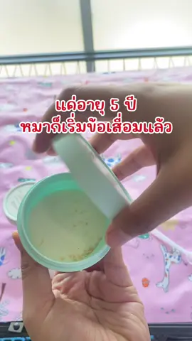 ⚠️ อายุหมาเพิ่มขึ้น = คอลลาเจนลดลง แค่เติมวันละนิด ก็ช่วยให้เค้าแข็งแรงได้นานขึ้น #วิตามินสุนัข #ทาสหมา #ความรู้เรื่องหมา #คอลลาเจนสุนัข  @ตังตังหมามีคิ้ว 