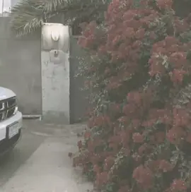 #واجه يطكني