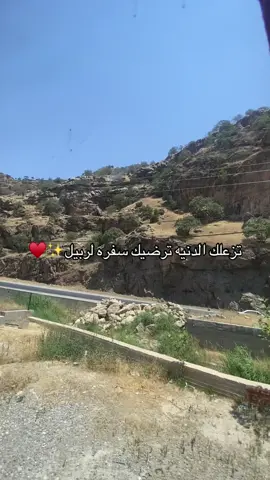 #مصيف_بيخال #اربيل #مــحــمــد💎🇱🇾 #878 #fyp #foryou 