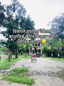 🙂🥲#প্রাকৃতিক_সুন্দর্য #foryoupage #fypシ゚ #viral #tiktok #newtrend #funnyvideos #caption 