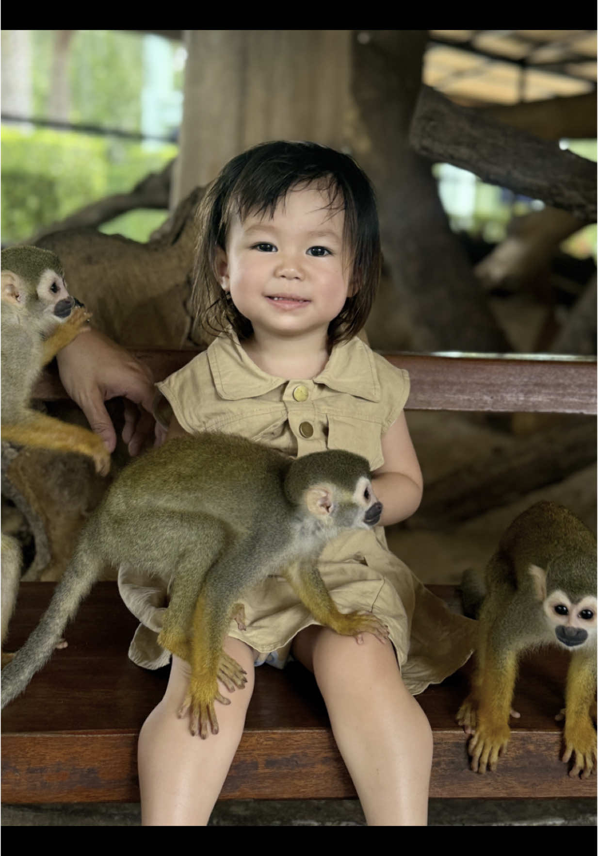 แยกไม่ออกเลยค่ะ ไหนคนไหนลิง 🤣👧🏻🙊🙈 #ศรีอยุธยาไล้ออนปาร์ค #ลิงกระรอก 