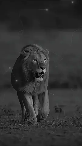 🔥»اذا رايتني في قمة هدوئي فاعلم ان عاصفتي مخيفة ➢ #متابعة_لايك_إكسبلورر  #FORYOUPAGE #VIRAL #FYP #TIKTOK 