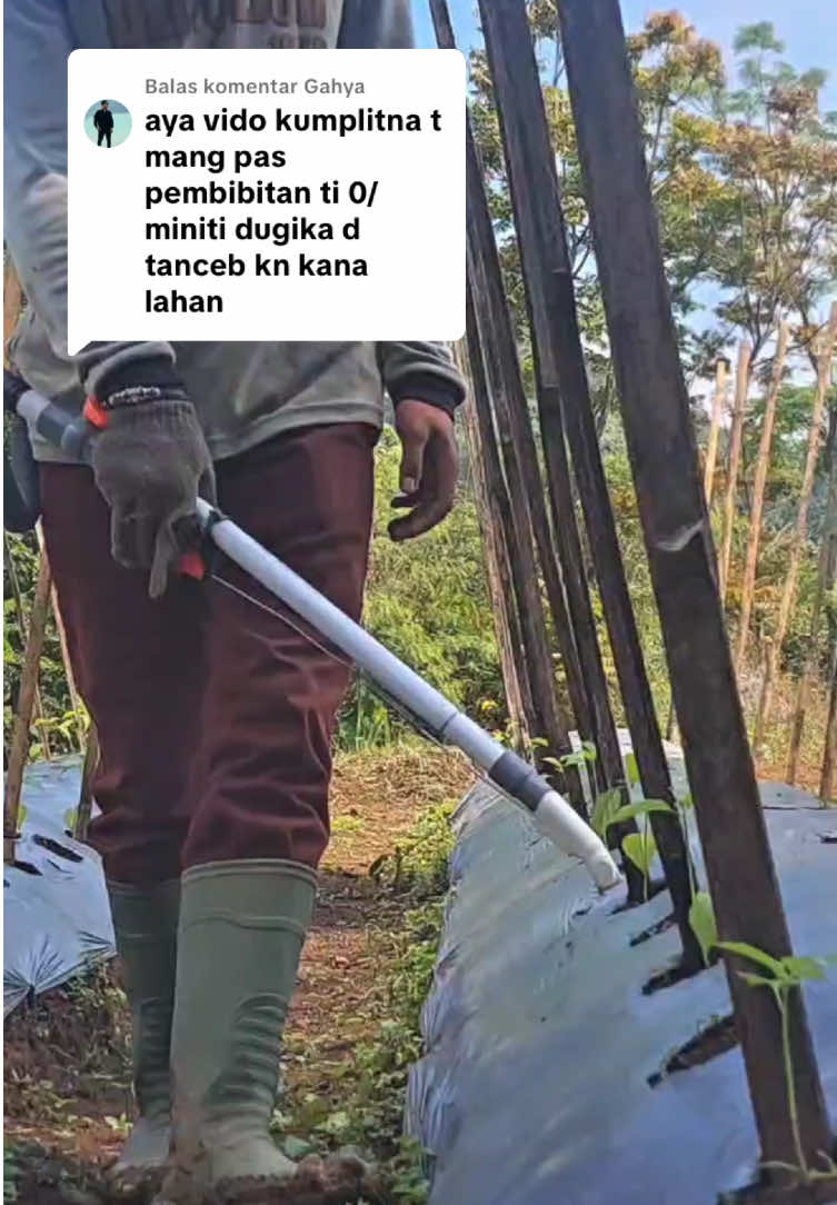 Membalas @Gahya dari 0 sampai ke perut orang😅🌶️🤘🙏@Andri CL @Gobang Stromp #petani #madodet #petanimuda #petaniindonesia🇮🇩🇮🇩🇮🇩🌿🌿 #petanimilenial #petanicabai #anakmudasukses #petanicabe #petanimodern #kebun #cabairawit #bibitcabai #pestisida #taniduasaudara #andricl #suksesmuda #modal #tanamcabai #pembibitan #usahasendiri #suksesbisnis 