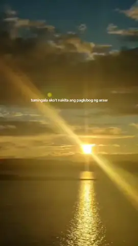 🌅🥺