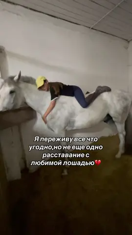 Это слишком больно 💔 #CapCut #рек #залетит #глобальныерекомендации #тренд #рекомендации #конныйспорт 