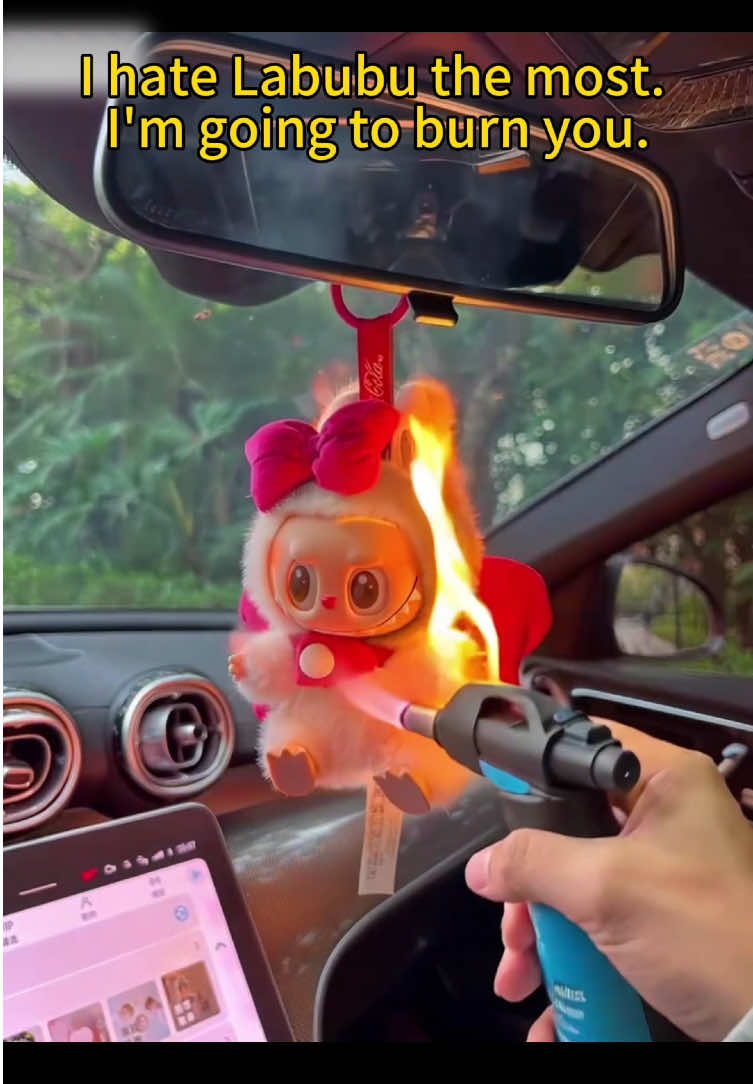 The Labubu in my friend's car is so beautiful. If he doesn't give it to me, I can only burn it for him.
