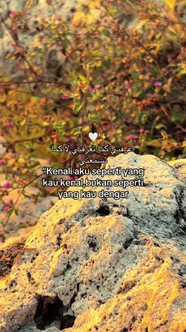 #syair #syaircinta #katakataarabic🇸🇦🥀 #arabicquotes #arabicsong #arabicmusic #arabicviral #ArabTikTok #arabictrend #foryoupage❤️❤️ #fypシ゚viral 
