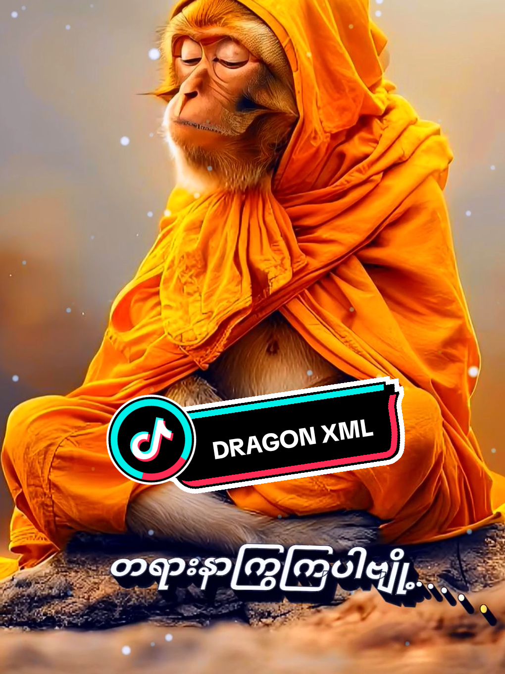 #တရားနာကြွကြပါဗျို့🙏🙏🙏  #alightmotion_edit #နောက်ကျသွားပီလား #myanmartiktok🇲🇲🇲🇲 #သဘောကျလို့ 