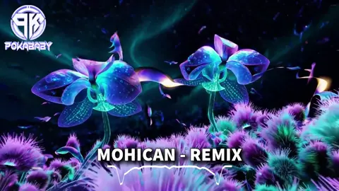 Mohican (Melody) - Remix #djpokababy #nhacremix #nhachaymoingay #nhacco #nhacnaychillphet #nhacchill #nhachottiktok #nhaccuon #xuhuongtiktok #xuhuong #xuhuong2025 #xhtiktok #trending #thinhhanh #fyp #soundviral #foryou #remix #tiktokawardsvn2024 #viral 