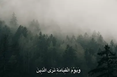 الزمر - علي جابر || #قران #علي_جابر #qoran #قران_كريم #علي_جابر_رحمه_الله 