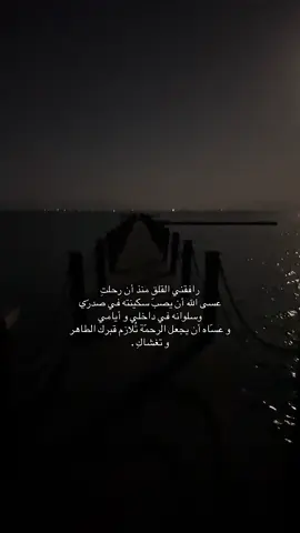 #فقيدة_قلبي 